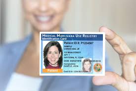 The florida department of health's office of medical marijuana use implements certain rules related to cannabis and runs the patient database. Registry Identification Cards Ommu