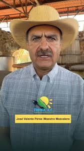 Maestro Mezcalero José Valente presente en el curso "¿Cómo producir un  Mezcal que, compla con la norma? el pasado 05 de abril 🗓️ impartido por el  Doctor Jorge Alejandro Santiago Urbina, docente de UT ...