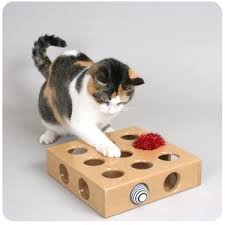Smart Cat Peek And Play Toy Box Make Out Of Cardboard Kedi Kopek Oyuncak