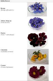 Check spelling or type a new query. Visual Appearance Of The Five Edible Flowers Download Scientific Diagram