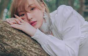 Sbs power fm radio show 'young street' will be having red velvet's wendy to be the new dj. Fans Share Concerns About Red Velvet S Wendy Joining The Cast Of Snl Korea 2021 Allkpop