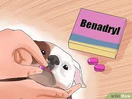 Inflammation (starts immediately) your pup's first responders. How To Treat Hot Spots In Dogs 15 Steps With Pictures Wikihow
