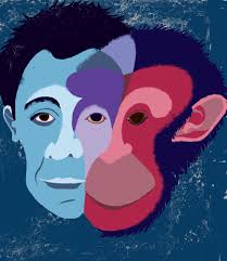 Recent illustration projects created by illustrator Andrew Selby — Andrew  Selby