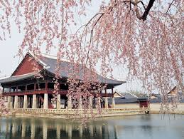 Hasil gambar untuk gyeongbokgung palace