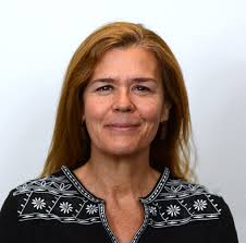 Alice Abrokwa Senior Attorney, National Center for Youth Law Alonzo Kelly  Principal, Kelly Leadership Group Amber Nelson Directo