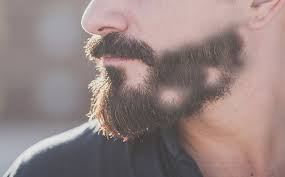 I decided to find out, whether native americans can indeed grow the mane. How To Make Your Beard Grow In Bald Spots My Beard Gang