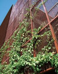 Founded in 1952, mcnichols company nationwide steel service centers (and center in monterrey, mexico) stock a wide. Eco Mesh Wire Mesh Mcnichols Green Facade Green Architecture Vertical Garden