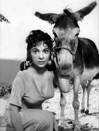 Visionneuse De Gina Lollobrigida Actrice Italienne Jolie Photo Belles Actrices