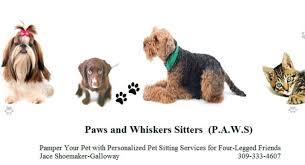 All pets veterinary clinic in macomb, illinois is a full service veterinary clinic devoted to providing the best care for your best friend. Paws Whiskers Sitters Macomb Area Convention And Visitors Bureau