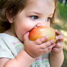 Atelier de sensibilisation aux saines habitudes de vie | INFOSuroit.com