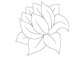 Coloring pages of lily pad. Lily Pad Without Lily Pad Coloring Page Color Luna Lily Pads Coloring Pages Lotus Drawing