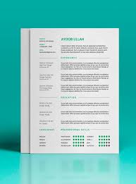 Ejemplo de curriculum vitae para ingeniero. Curriculum Vitae En Word Modelo Curriculum