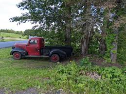 Image result for Forest Green 1946 Truck
