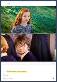 You Have Your Mother S Eyes Harrypotter Lilypotter Humor Harry Potter Jokes Harry Potter Harry Potter Funny