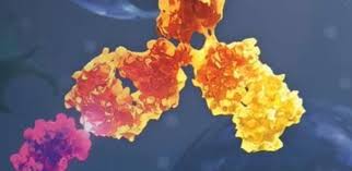 Nombre de nouveaux cas de coronavirus diagnostiqués par test pcr survenus sur une semaine glissante. Covid Bretagne Courbes En Forte Baisse 14 Cas Pour 100 000 Habitants