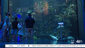 Check spelling or type a new query. One Tank Trips Wonders Of Wildlife National Museum And Aquarium