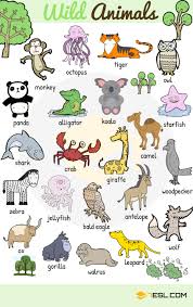 But first we need to know what the role of nouns is in the structure of the grammar in hindi. Wild Animals List Of Wild Animal Names In English With Images 7esl