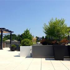 Check spelling or type a new query. Winston Flowers Greenwich Ct