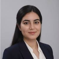 300+ perfiles de «Manar»