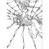 Risultati immagini per l uomo ragno da colorare disegni da. 140 Disegni Spiderman Da Colorare