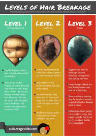 Shedding is a normal part of the hair growth life cycle, whereas breakage is not. Pin On Hair