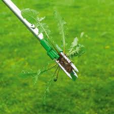 Buy pullerbear tree and weed puller: Weed Puller Weeder Pull Garden Manual Lawn Root Remover Tool Single Claw Hook Yard Garden Outdoor Living Garden Tools Equipment