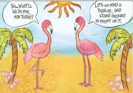 I Have To Post This Funny Cartoon For My Vintage Trailer Towing Gal Pals Whose Trailers Sport A Tropical Flamingo Th Fancy Flamingo Funny Flamingo Flamingo Art