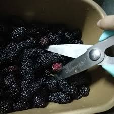 Using a potato masher, mash berries to desired consistency. Homemade Mulberry Jam Miss Chinese Food