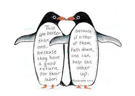 They waddle around, dive in and out of their pool, call out to her. 9 Penguin Quotes Ideas Quotes Penguin Quotes Words