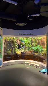 Looking at some inspiration for a giant vivarium build! 🌱🐸 #aquarium  #fishtank #vivarium #ecosystem #jungle