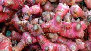 Maybe you would like to learn more about one of these? Disebut Ampuh Cegah Corona Ini 10 Khasiat Luar Biasa Jahe Merah Bagi Kesehatan Bandung Kita