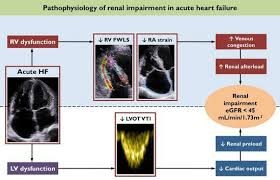 Right Ventricular and Right Atrial Strain Are Associated with Kidney  Dysfunction in Acute Heart Failure