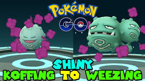 05.05.2020 #pokemon #pokemongo #schillernd #shiny #shinypokemon #smogon #koffing #shinykoffing #smogmog #weezing. Evolving Shiny Koffing To Shiny Weezing In Pokemon Go Youtube