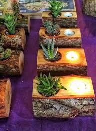 Pin Von Diy Deco Club Auf Kakteen Gartenprojekte Sukkulenten Pflanzideen