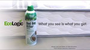 How To Get Rid Of Bed Bugs Using Ecologic Products Youtube