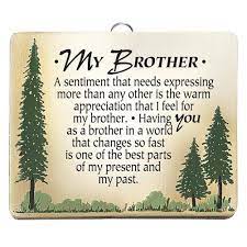 Most families had four, five brothers. Brother Poems I Love You Brother Poems