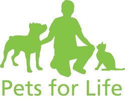Petfinder has helped more than 25 million pets find their families through adoption. City Of Rochester Rochester S Pets For Life Program
