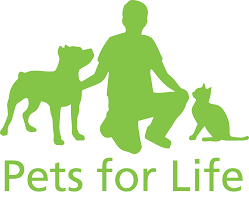 Puppyfind® provides a convenient and efficient means of selecting and purchasing the perfect puppy (or puppies) from the comfort of your home, 24 hours a day, 7 days a week. City Of Rochester Rochester S Pets For Life Program