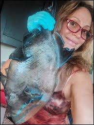 Another solid day out