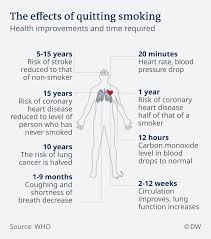 That is the point when all withdrawal symptoms have subsided. I Finally Quit Smoking Cigarettes And It S Paying Off Health Wise Science In Depth Reporting On Science And Technology Dw 10 10 2019