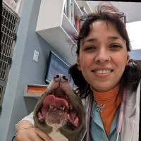 Bildergebnis für Marwa Adel