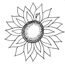Black And White Simple Outline Outline Stencil Sunflower Clipart Flower Clipart Black And White Free Download Sunflower Drawing Sunflower Clipart Sunflower Black And White