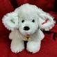 Find Santa’s Puppy!