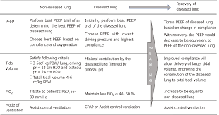 Independent Lung Ventilation Implementation Strategies And