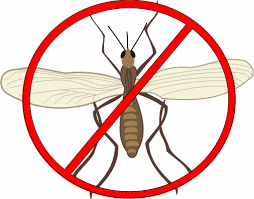 30 Ways To Get Rid Of Gnats Inside And Outside The House