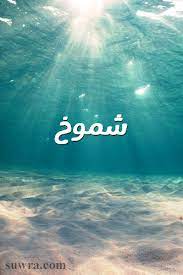 صور اسم شموخ صورة