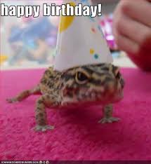 [Image: images?q=tbn:ANd9GcSCTYg9RNFwxijb0lVVIy5...A&usqp=CAU]