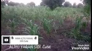 Download autan sidi ajinsa daban to mp3 and mp4 for free. Kasidar Autan Sidi Mp3