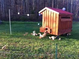 Stretching lengths of clear monofilament line across garden rows repels sparrows and many other birds. Pin On Chickens