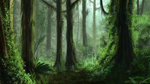 Environment 029 Rainforest Rainforest Fantasy Landscape Landscape